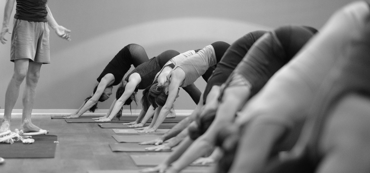 Yogability - Photo by Bjorn Wilke Photography
